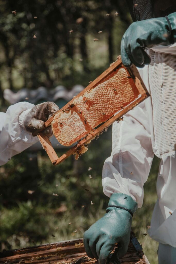 Busy bees flying around a beekeeper clad in protective gear in a lush apiary.